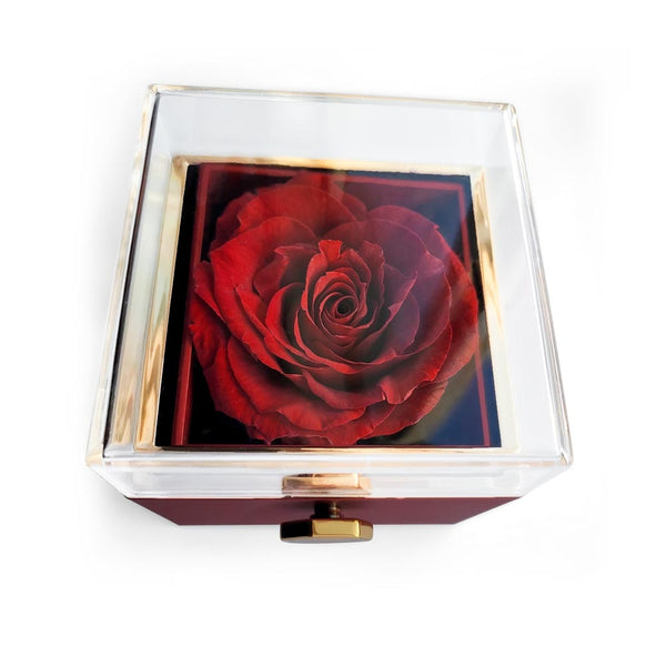Your Love Guides Me | Rotating Rose Gift for Mom